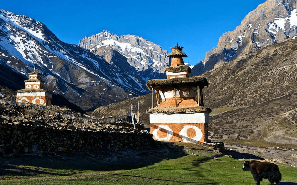 Dolpo